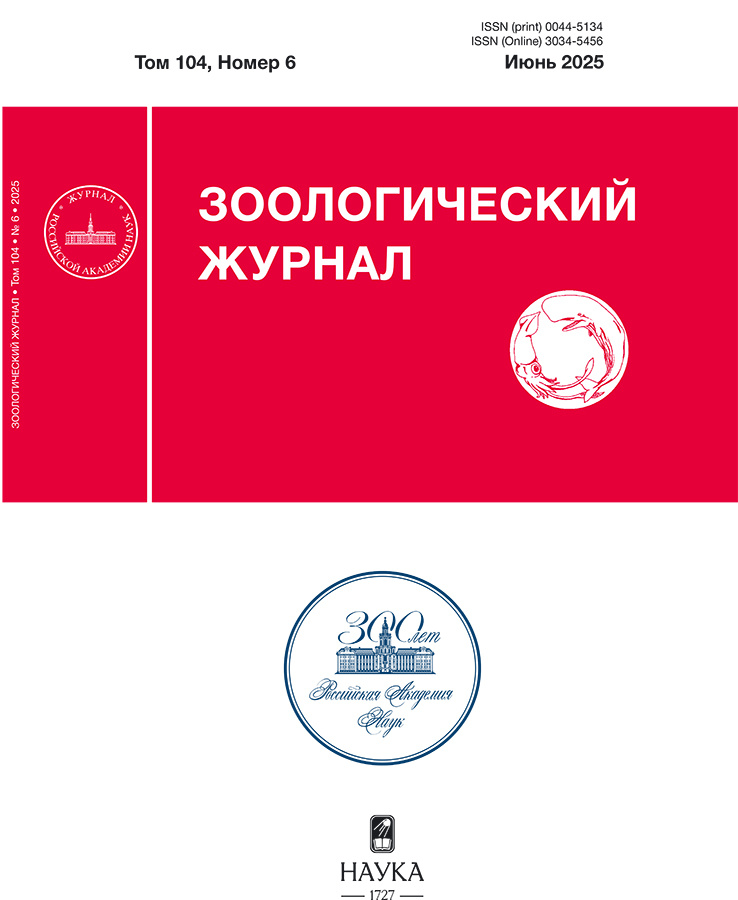 Бет Тақырыбының Логотипі